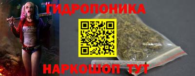 молекула духа Заводоуковск