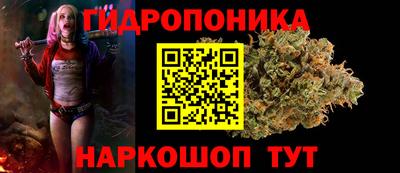 молекула духа Заволжье