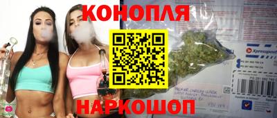 молекула духа Заводоуковск
