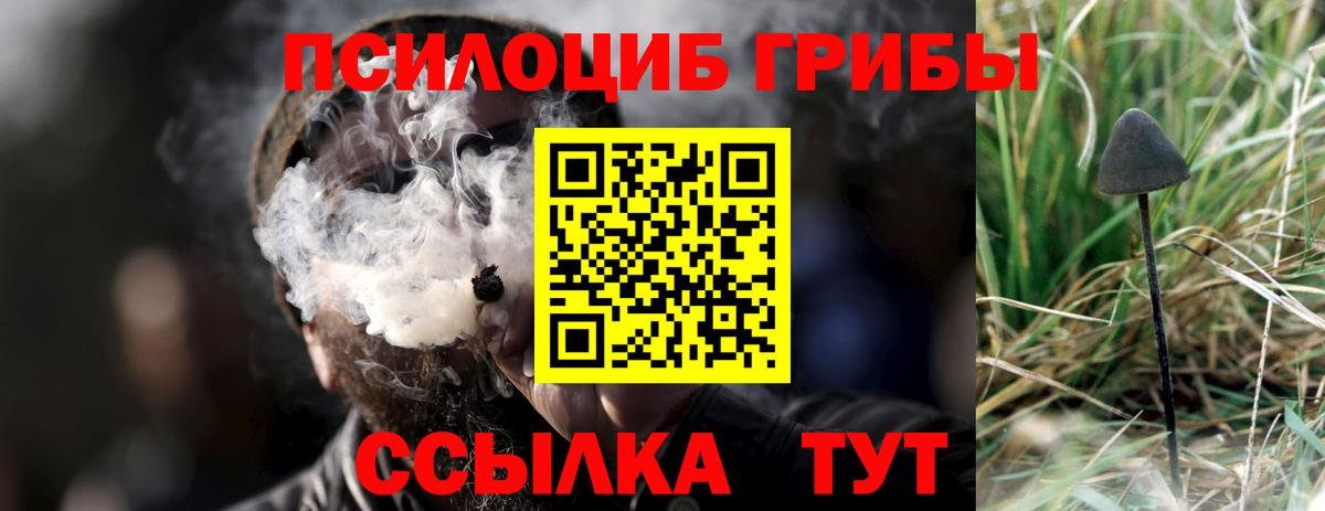 Псилоцибиновые грибы MAGIC MUSHROOMS Железноводск